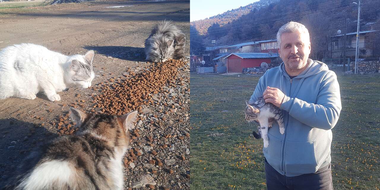 Konya’da yürek ısıtan hareket! Aç kediler için 30 kilometre yol gitti