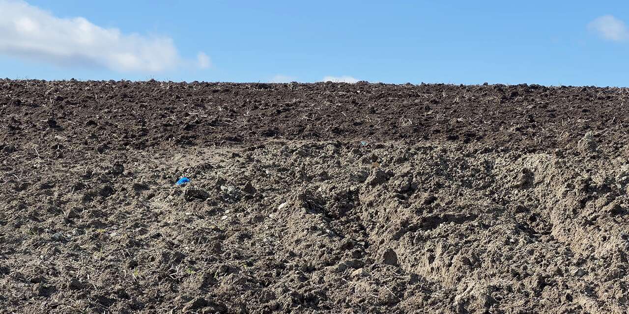 Kayıp Çinli iş insanı İstanbul’da toprağa gömülü halde bulundu