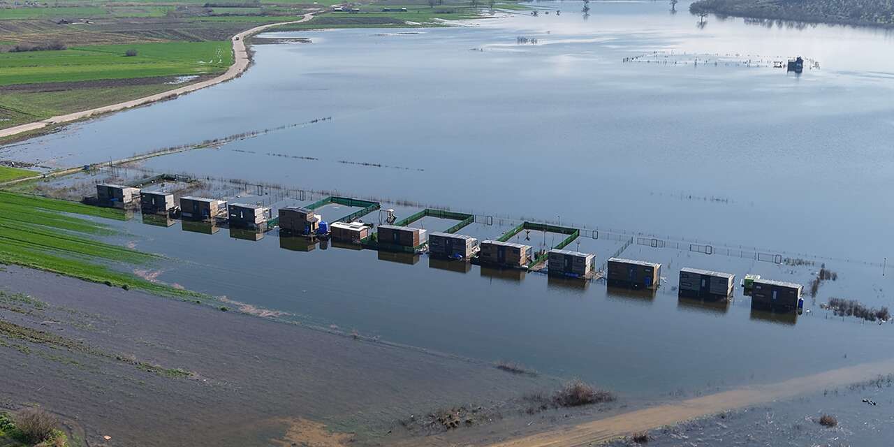 Yağışlarla göl taştı, evler suların ortasında kaldı