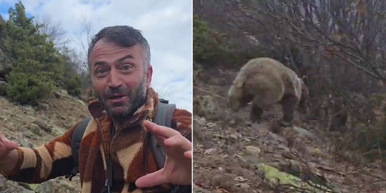 Kuş görmek için dağa çıktı, boz ayıyla göz göze geldi