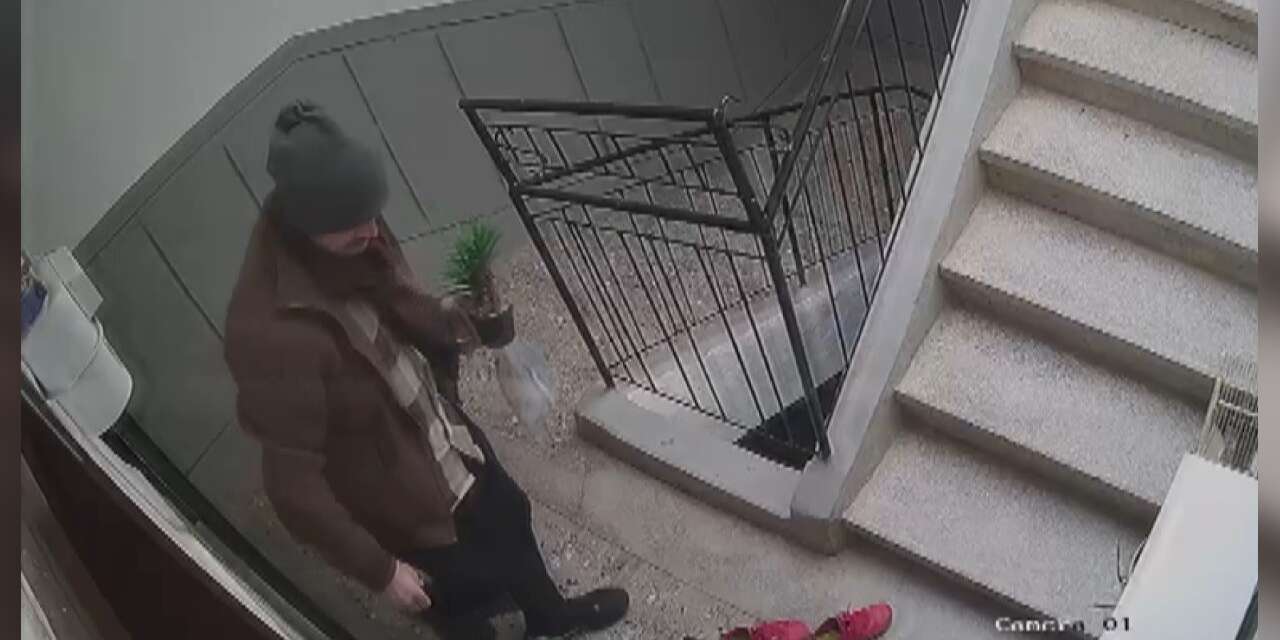 Konya'da marka takıntılı hırsız kameralara yakalandı