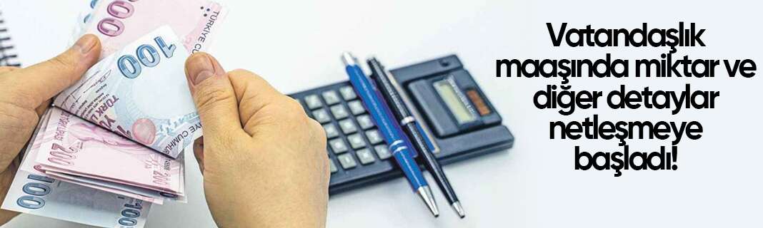 Vatandaşlık maaşında miktar ve diğer detaylar netleşmeye başladı