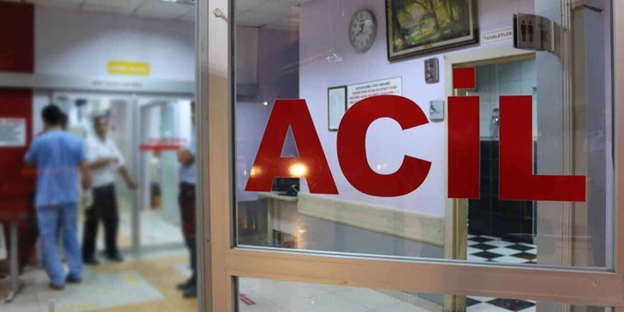 Ahırın çatısından düşen besici hayatını kaybetti