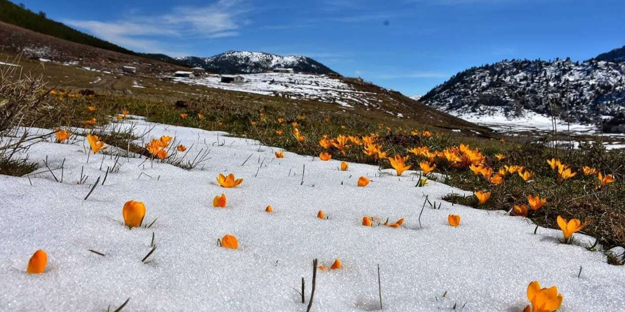 Konya’nın yükseklerinde baharın ilk izleri görüldü