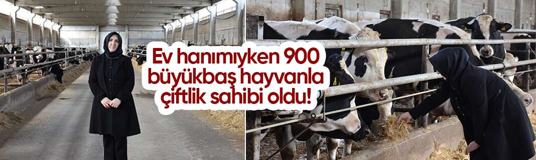 Ev hanımıyken 900 büyükbaş hayvanla çiftlik sahibi oldu