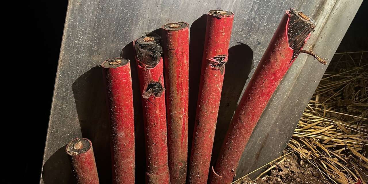 Kiraladıkları vinçle 1 milyon TL’lik vurgun yaptılar