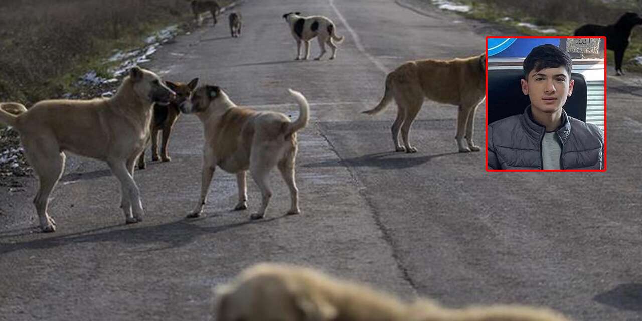 Köpekten kaçan çocuk hayatını kaybetti