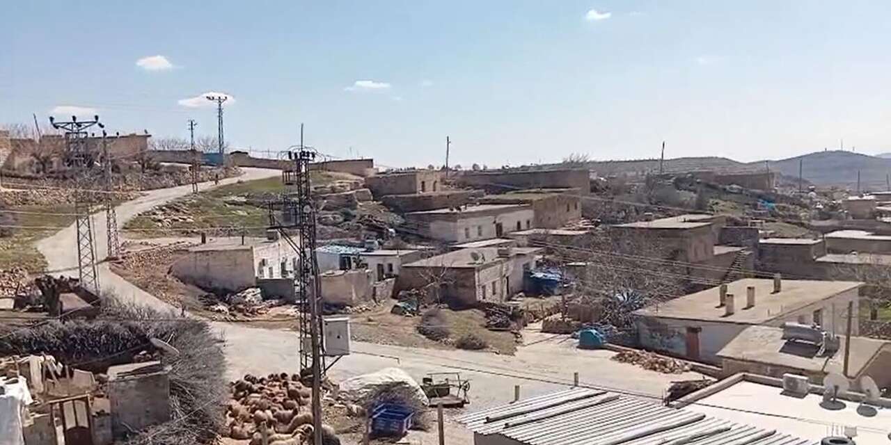 Mahallede kuduz paniği! Karantinaya alındı