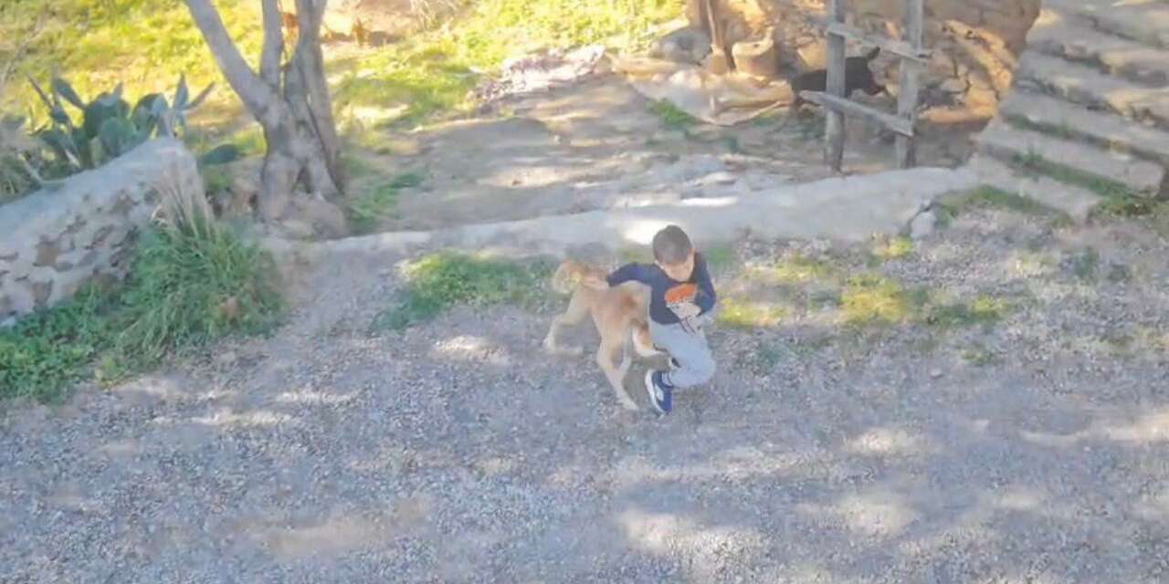 7 yaşındaki çocuğa köpek saldırdı