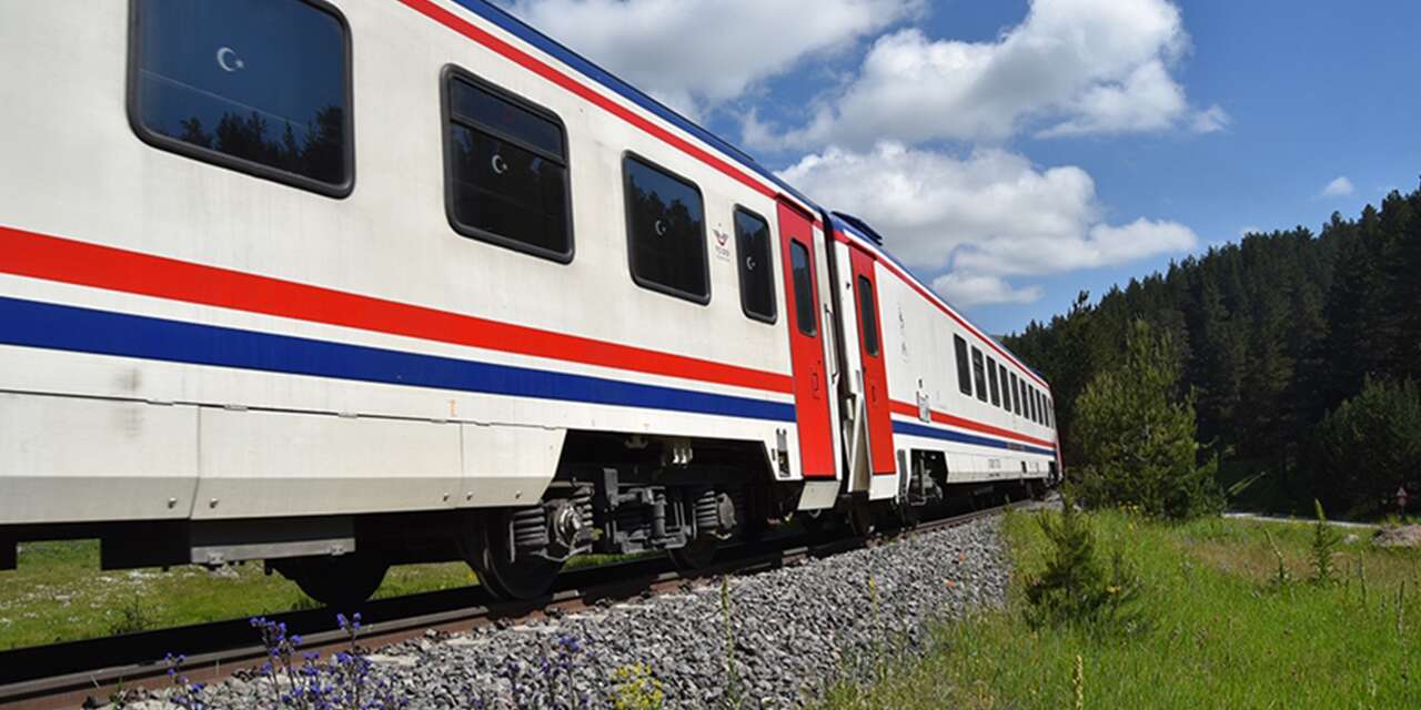 Konya’da hayvan otlatan ve arıcılık yapanlar dikkat! İlaçlama yapılacak