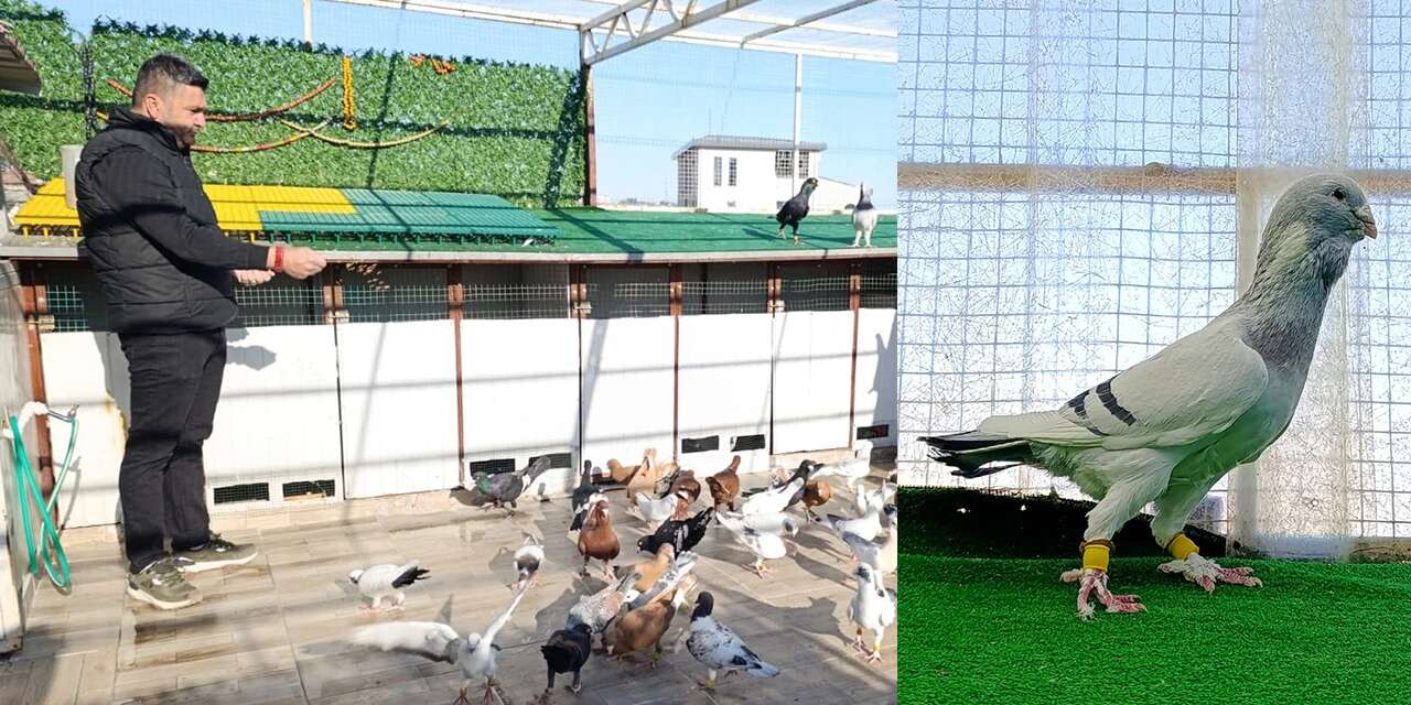 Memurluğu bırakıp bu işe başladı, bir tanesini otomobil fiyatına satıyor