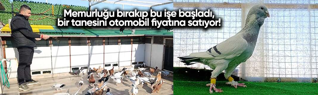 Memurluğu bırakıp bu işe başladı, bir tanesini otomobil fiyatına satıyor