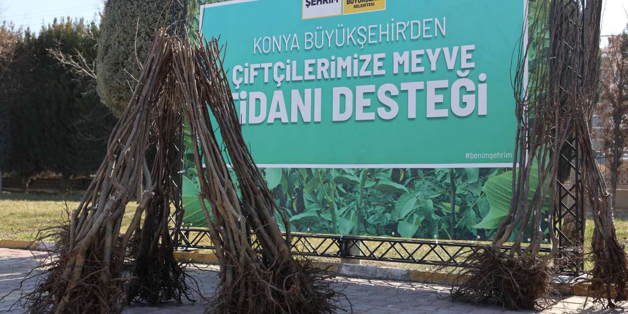 Konya’da çiftçilere 23 bin 530 adet fidan desteği