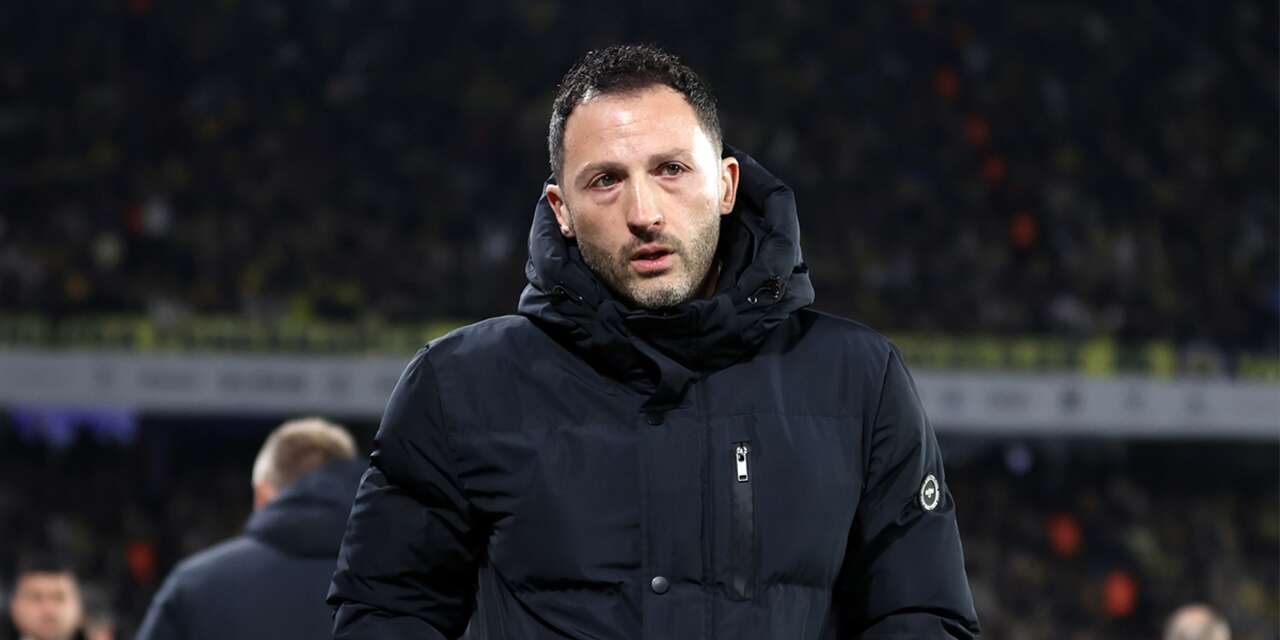 PFDK’dan Fenerbahçe Teknik Direktörü Tedesco’ya ceza