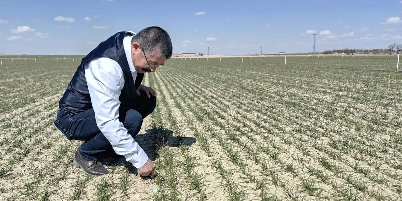 Konya’da uzman isim, diken üstündeki çiftçiye önemli tarihi verdi