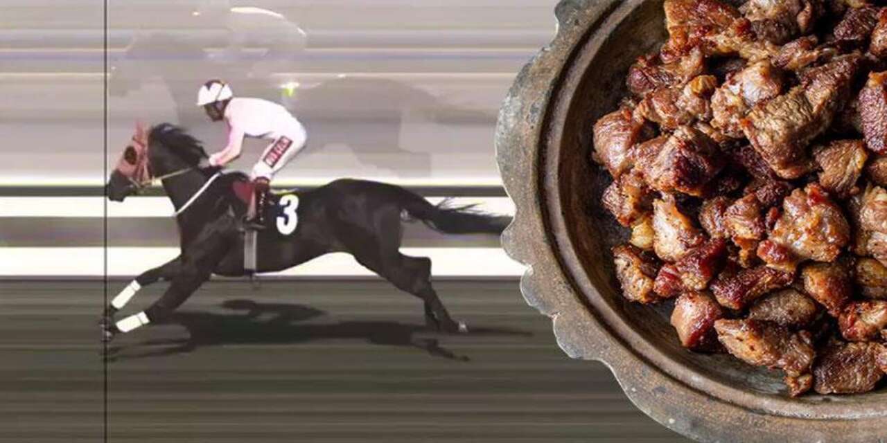 Şampiyon yarış atının eti aşevindeki kavurmada çıktı