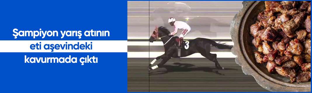 Şampiyon yarış atının eti aşevindeki kavurmada çıktı