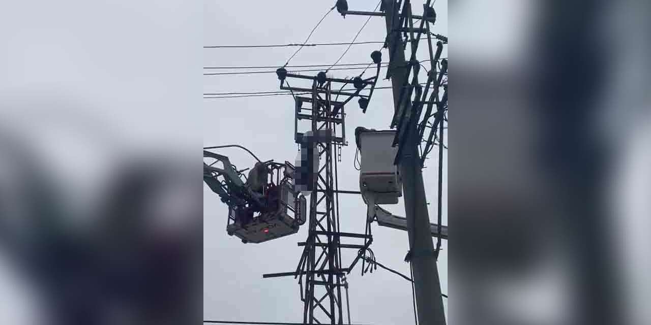 Hırsızlık için çıktığı elektrik direğinde can verdi