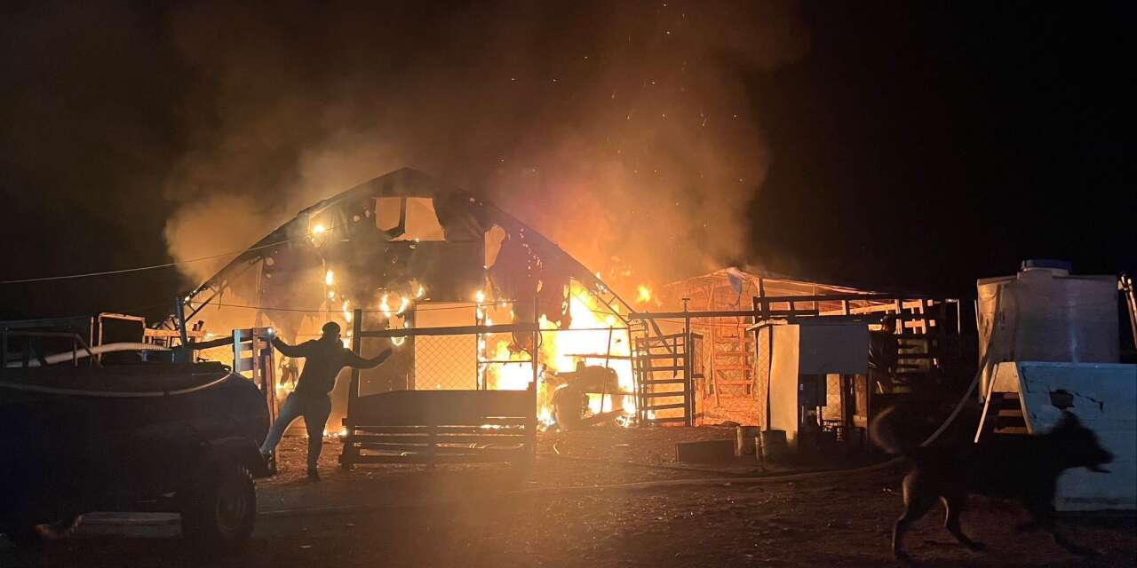 Çiftlikte yangın faciası! 580 tavuk, civciv ve kaz telef oldu