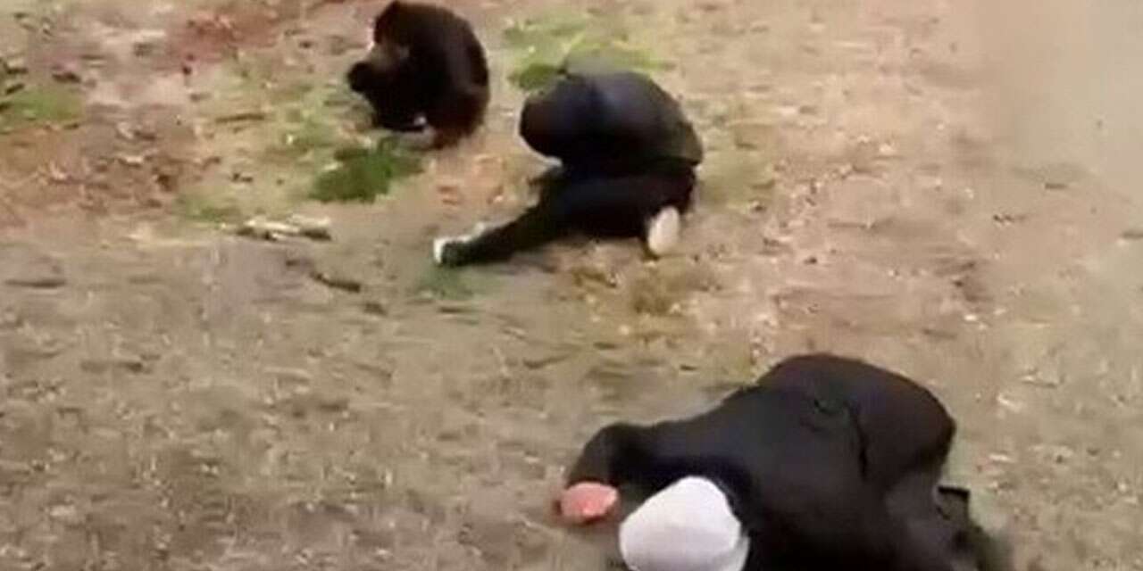 Bir anda yere yığılan 3 kişi hastaneye kaldırıldı