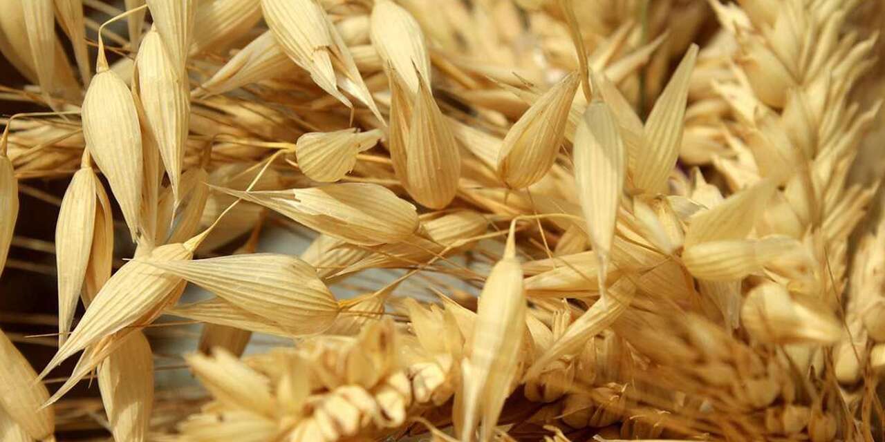 Konya’da tarımsal üretimde yeni adım