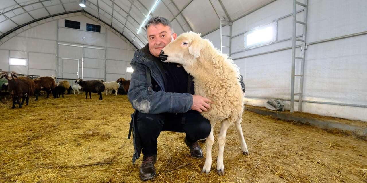 Konya Ovası Projesi’yle hayvancılığa adım attı