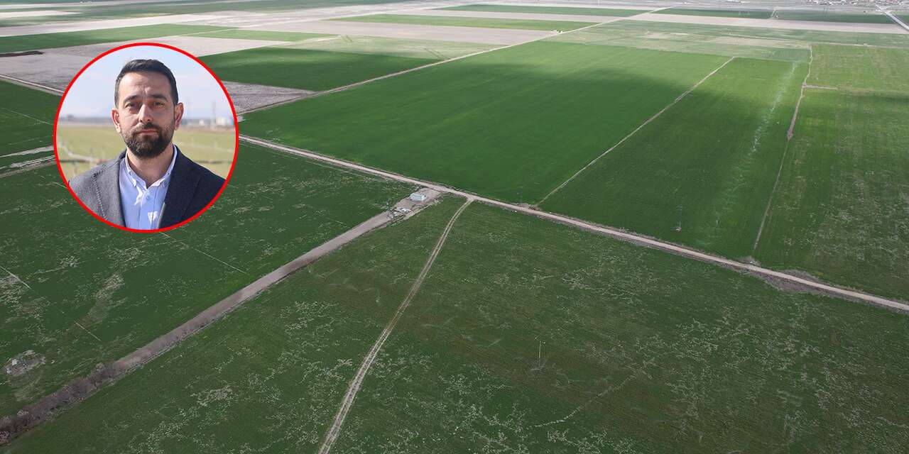 Konya’da uzmanından çiftçilere mantar uyarısı