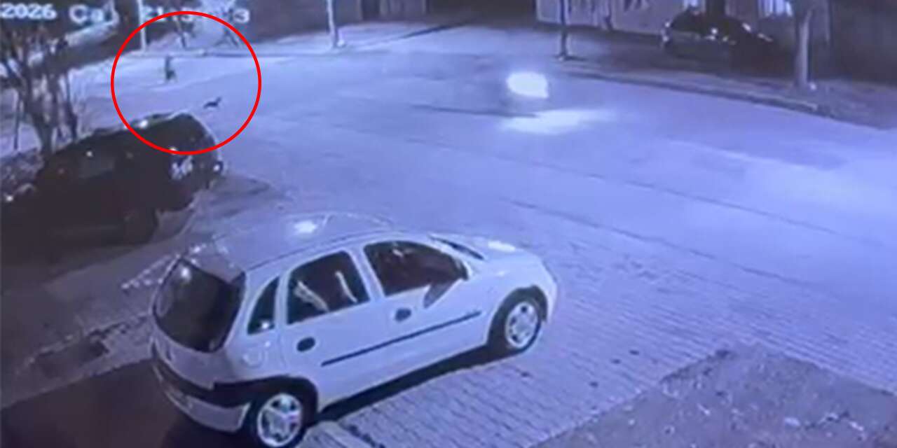 Konya’da motosiklet kazası kamerada! Kediye çarptı, metrelerce sürüklendi