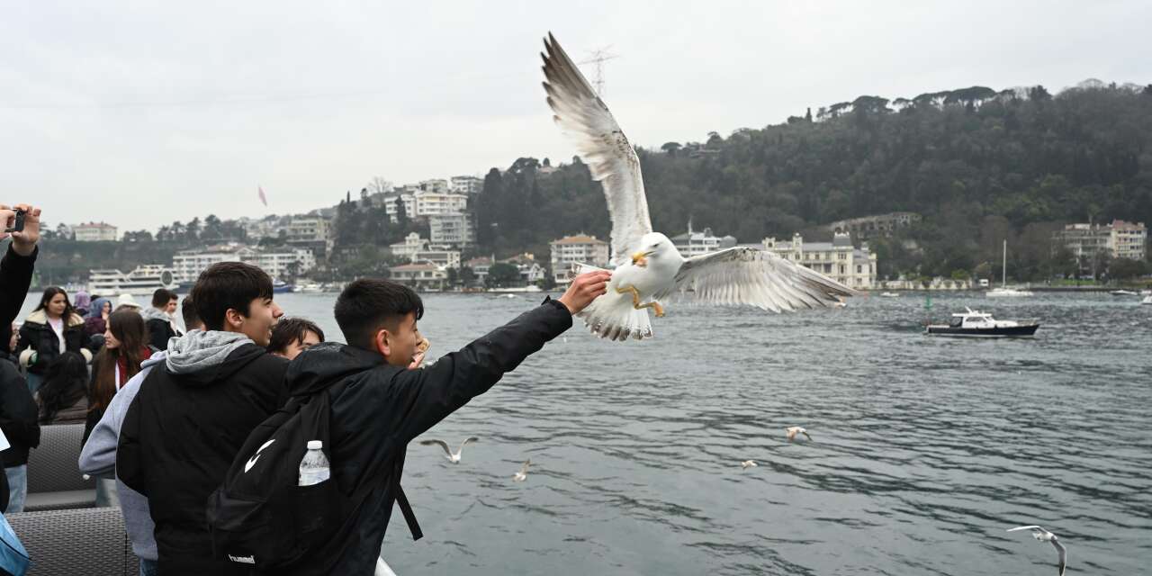 Konya Büyükşehir, öğrencileri İstanbul’a götürüyor