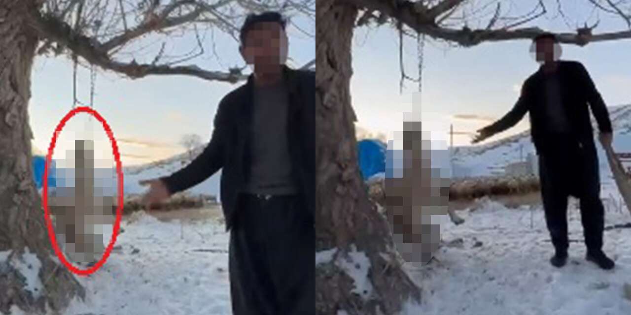 Köpeğini ağaca asarak öldüren adam hakkında karar verildi