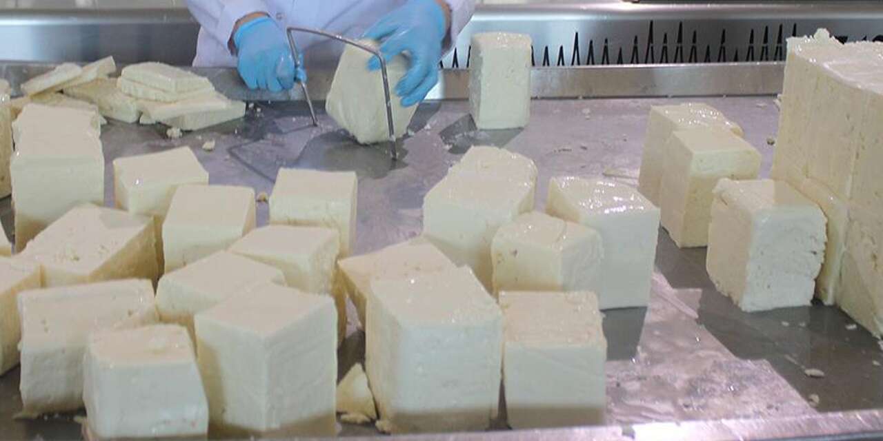 Bakanlığın ifşa listesinde yer alan peynirin analizi Konya’da çıktı