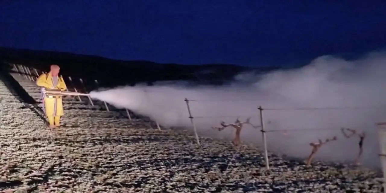 Konya Ovasındaki çiftçiler için alarm verildi! Zirai don kapıda