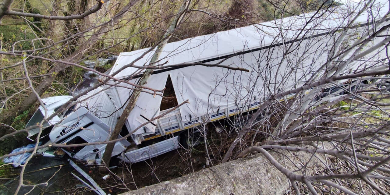 Büyükbaş hayvan taşıyan TIR devrildi! 3 yaralı var, hayvanlar da telef oldu