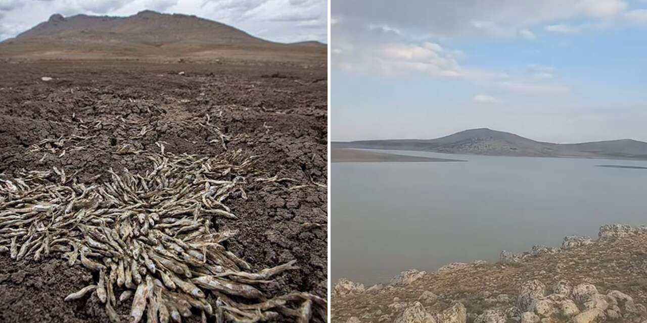 Konya’nın bir dönem ağlatan barajı şimdi mutlu bir tablo sunuyor