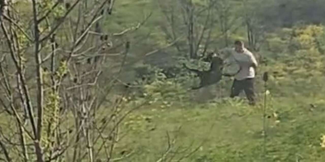 Köpeğe kemerli işkence görüntüleri ekipleri harekete geçirdi! Kimseye aldırış etmedi