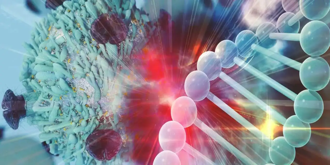 Kişiselleştirilmiş onkoloji kanser tedavisinde yeni dönem