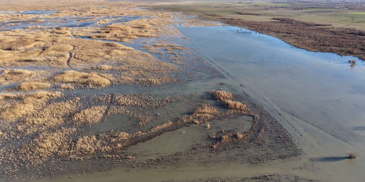 Konya’da kuraklığın vurduğu gölde yıllar sonra bir ilk yaşandı