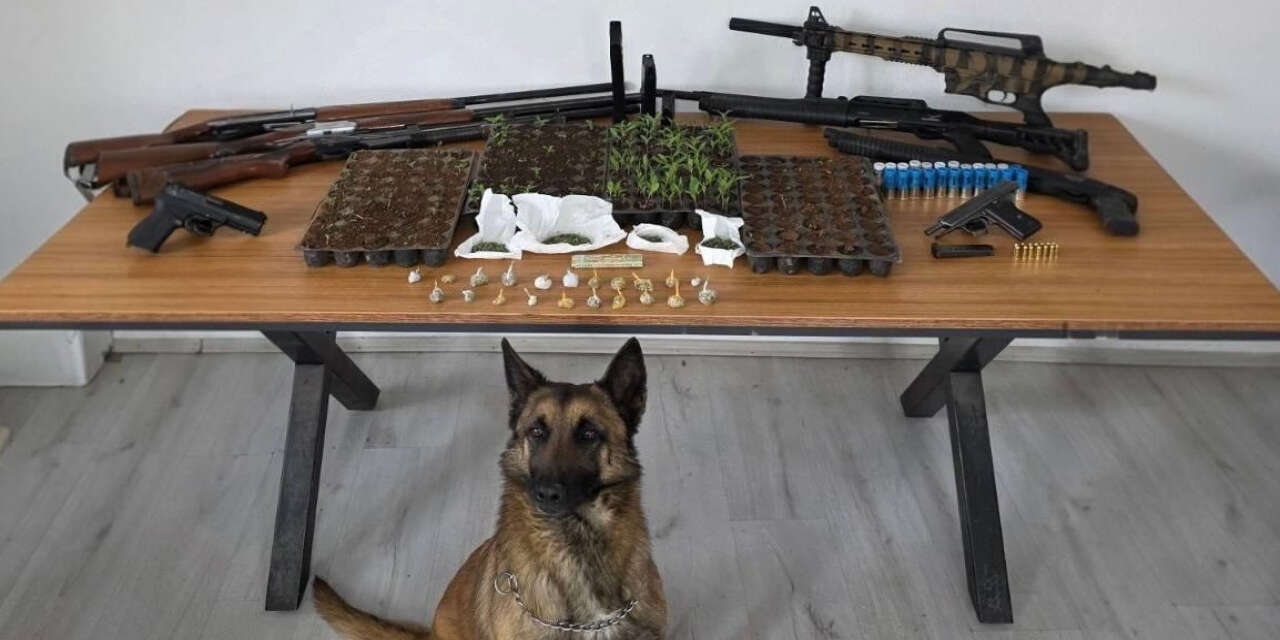 Jandarma Konya’da zehir tacirlerine büyük darbe vurdu