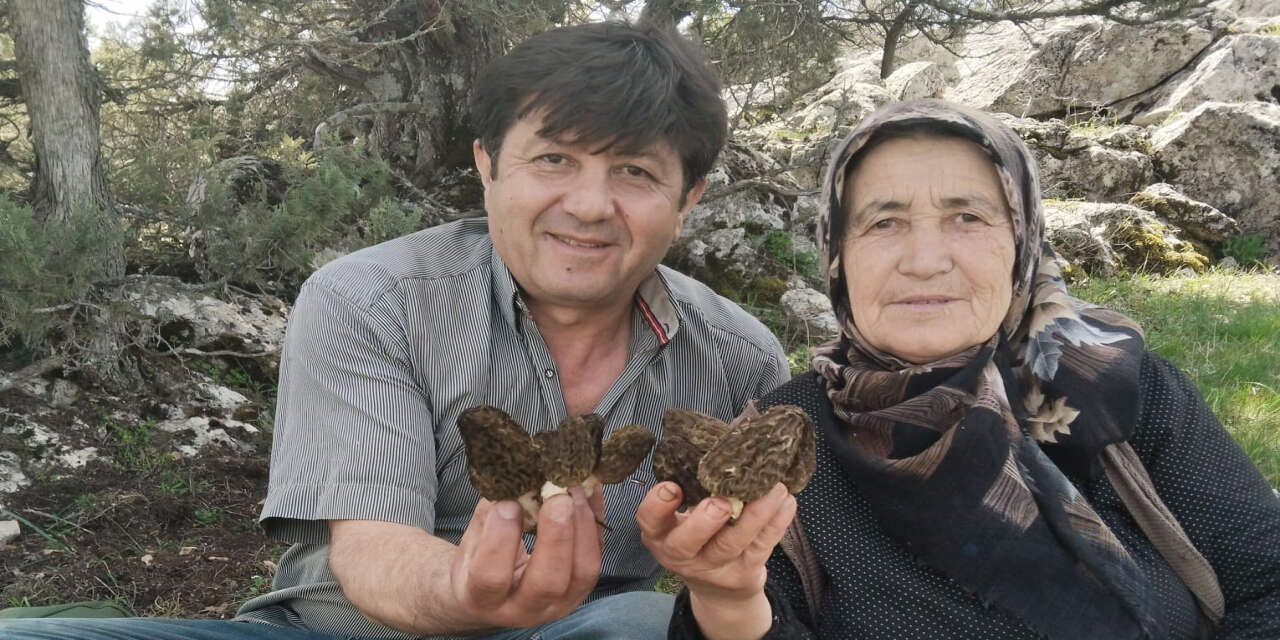 Konya’da doğanın altın değeri gün yüzüne çıktı! Bu fiyata alıcı buluyor