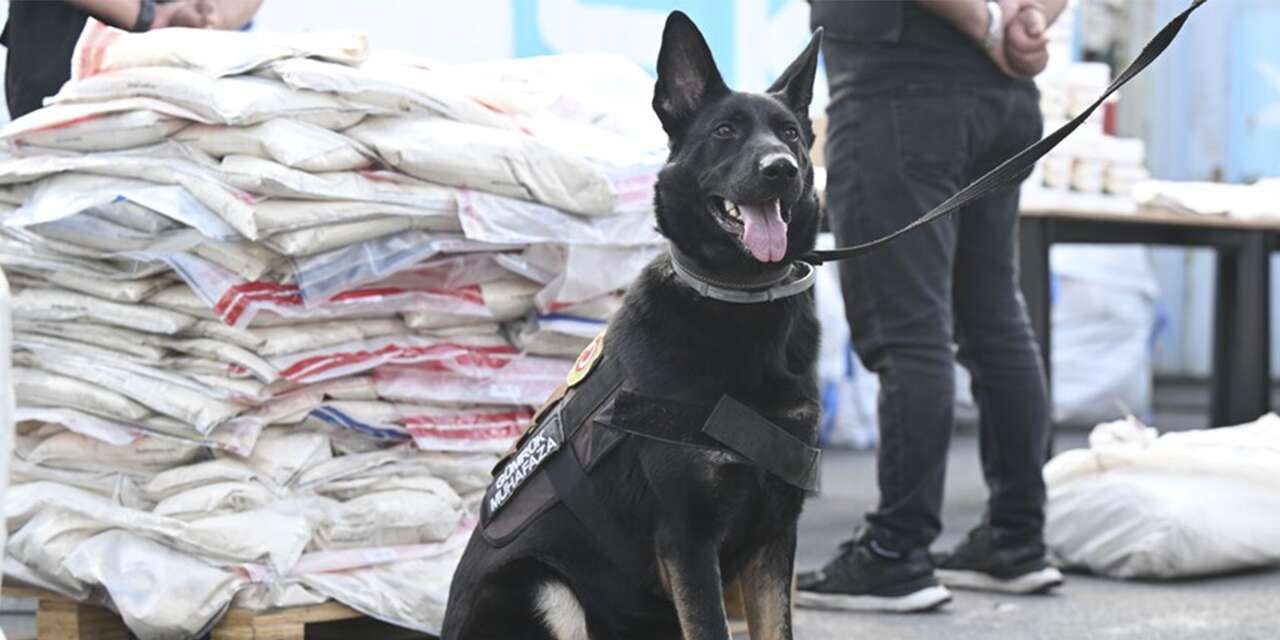 Gümrükte dev operasyon: 420 kilo uyuşturucu ele geçirildi