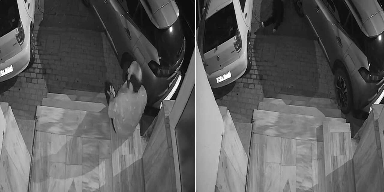 Sokak ortasında şüpheli ölüm! Akıllı saati 112’yi otomatik aradı