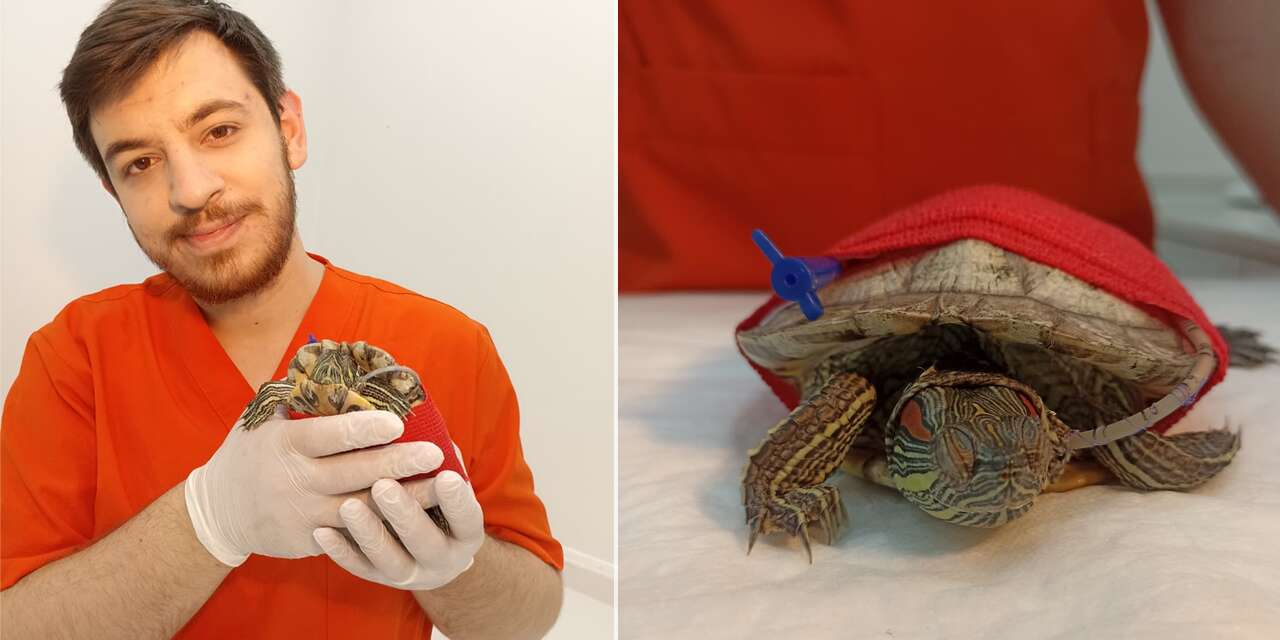 Konya’da minik cana büyük dokunuş! Kritik müdahaleyle hayata tutundu