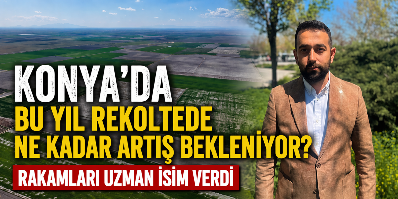 Konya Ovası’ndaki son yağışlar, çiftçiyi umutlandırdı