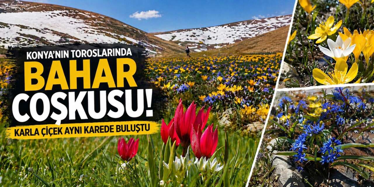 Konya’da doğa canlandı, kartpostallık bahar manzaraları çıktı