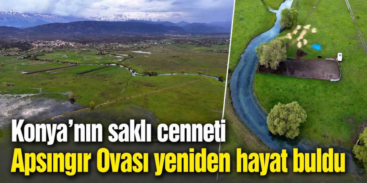 Konya’da ovalar bahara uyandı! Ortaya kartpostallık görüntüler çıktı