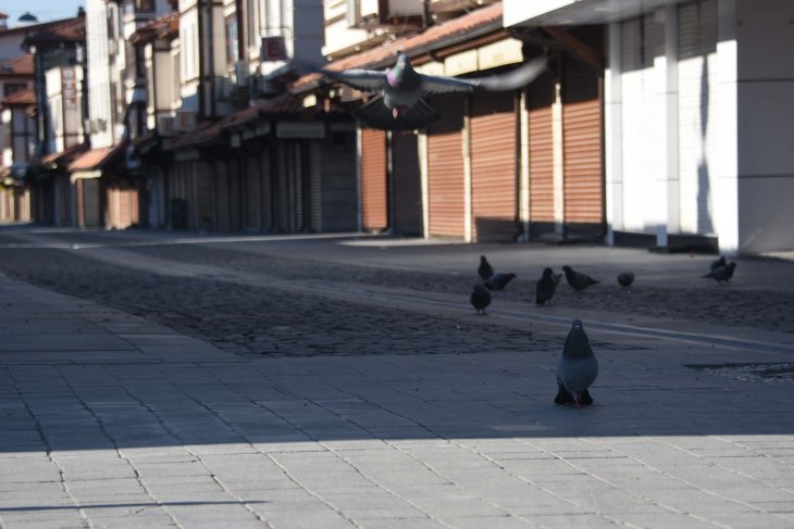 İşte Konya’da sokağa çıkma yasağı günlerinde açık olacak veteriner klinikleri