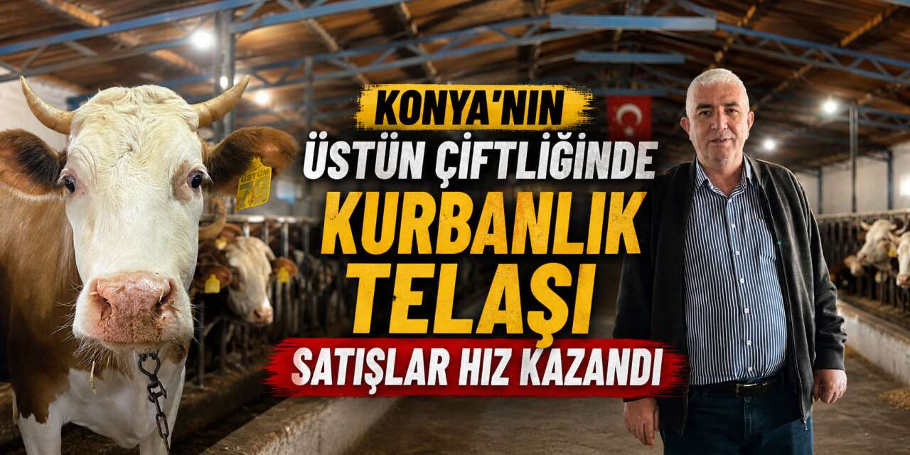 Kurbanlıkta erken hareket kazandırıyor! Üstün Kardeşler’de satışlar hızlandı