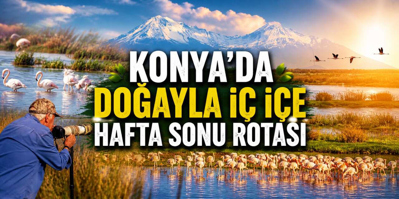 Konya’nın kuş cenneti Akgöl Sazlıkları yine doğaseverlerin gözdesi
