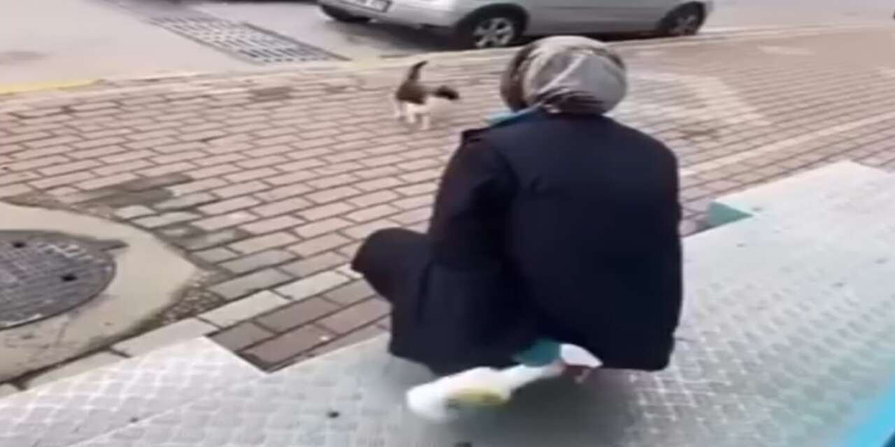 Kedinin yüzüne yağ çöz sıkan market çalışanı hakkında ilk karar