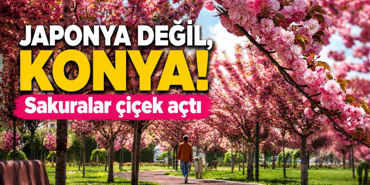 Burası Japonya değil, Konya! Sakuralar çiçek açtı